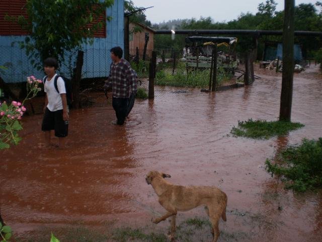 Chuva alaga pelo menos 41 casas em Santa Rosa