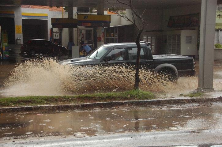 Queda de &aacute;rvores destelha casas em Porto Alegre