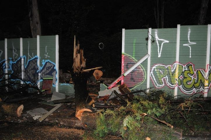 Durante tempestade, &aacute;rvore cai sobre muro em Porto Alegre