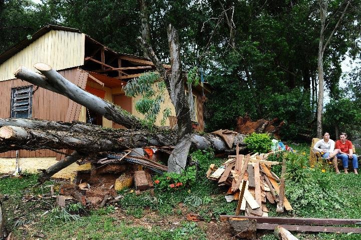&Aacute;rvore caiu sobre casas e carros em Porto Alegre