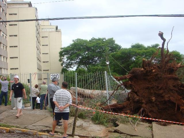 Queda de &aacute;rvores em Teres&oacute;polis
