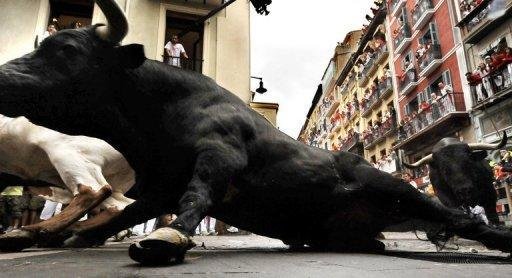 Touros escaparam das filmagens na Espanha