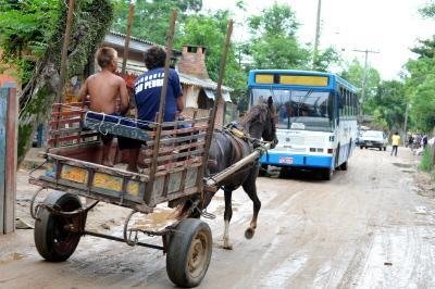Vereadores aprovam recursos para retirar carro&ccedil;as das ruas