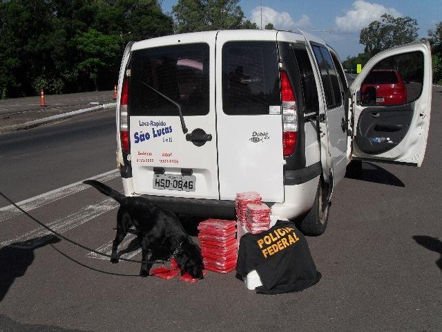 C&atilde;o farejador da PF localiza droga em ve&iacute;culo na BR 386