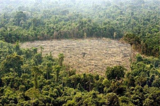 Decis&atilde;o tomada por Austr&aacute;lia, EUA, Fran&ccedil;a, Gr&atilde;-Bretanha, Jap&atilde;o e Noruega &eacute; considerada o maior avan&ccedil;o at&eacute; agora na confer&ecirc;ncia do clima na Dinamarca
