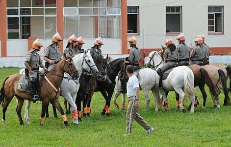 Regimento de Pol&iacute;cia Montada treina 80 homens para integrar efetivo de patrulhamento a cavalo