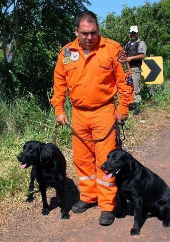 C&atilde;es Luke e &Aacute;quiles auxiliam nas buscas