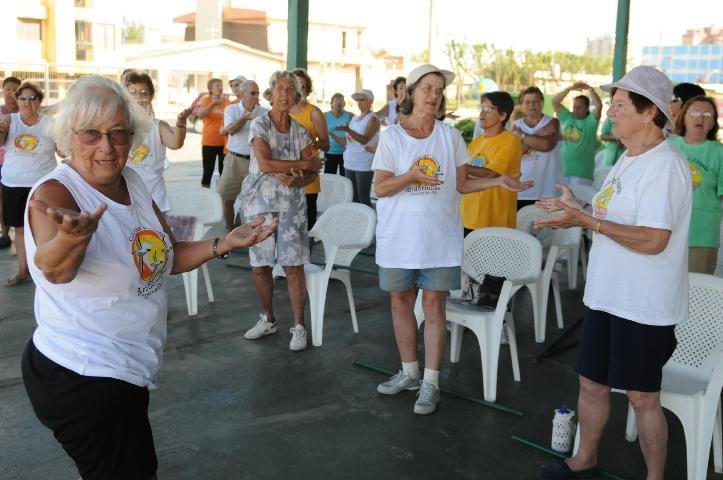 Andorinhas animam o Litoral Norte