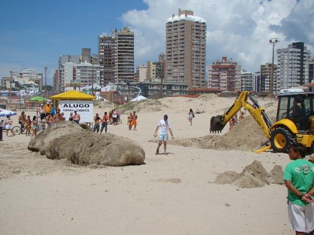 Baleia &eacute; encontrada morta em Torres