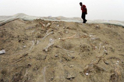 Milhares de marcas de dinossauro s&atilde;o localizadas na China