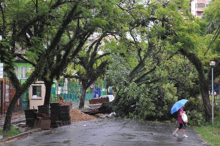 Chuva tamb&eacute;m derrubou uma &aacute;rvore na rua Santa Teresinha
