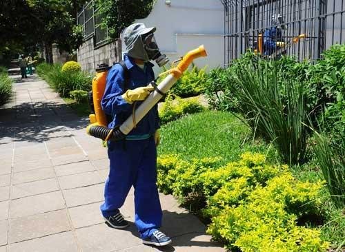 Agentes fizeram o bloqueio contra o mosquito no bairro Petr&oacute;polis 