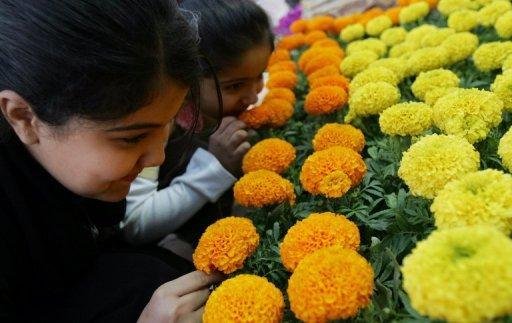 Descobertos genes que permitem modificar a fragr&acirc;ncia das flores