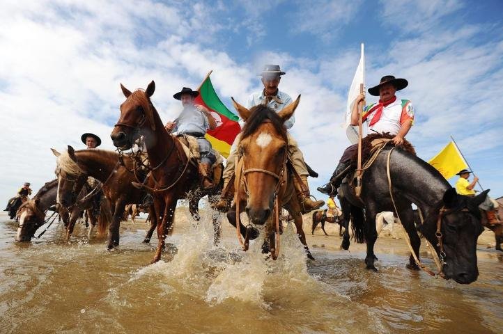 Animais se hidrataram com &aacute;gua da chuva
