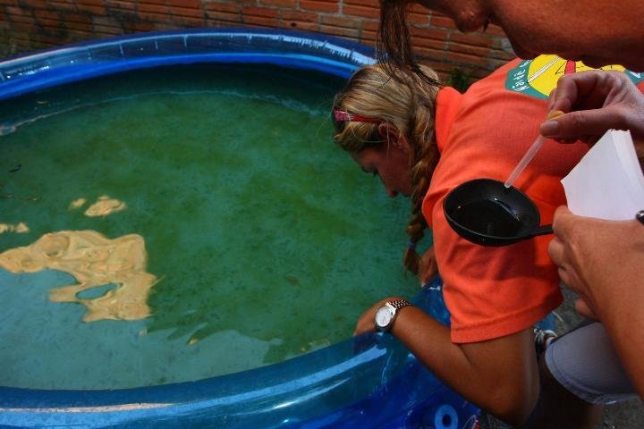 Secretaria Municipal da Sa&uacute;de encontra focos da dengue em Imb&eacute;