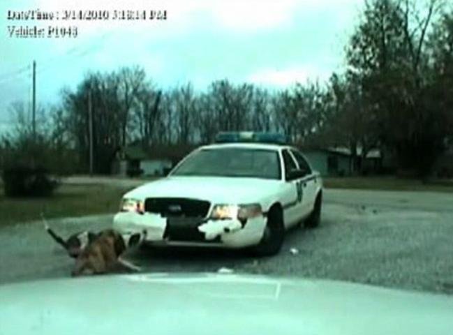 Ataque do pitbull foi filmado por uma c&acirc;mera de vigil&acirc;ncia da pol&iacute;cia