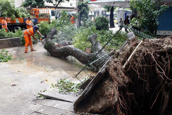 Rio de Janeiro sofre com a queda de &aacute;rvores