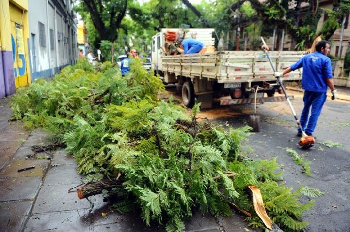 &Aacute;rvore cai sobre carros no bairro Floresta