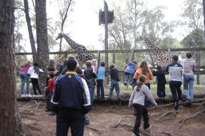 Zool&oacute;gico de Sapucaia comemora 48 anos neste s&aacute;bado