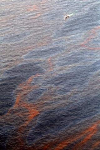 Petr&oacute;leo derramado no Golfo de M&eacute;xico chega &agrave; Louisiana