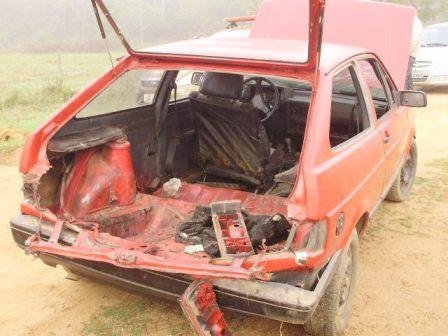 Vacas s&atilde;o encontradas espremidas dentro de carro em Viam&atilde;o