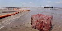 Mancha de óleo no Golfo atinge a costa de Louisiana