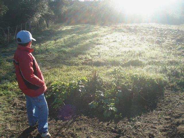 Domingo come&ccedil;a com frio no Estado 