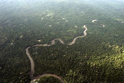 Floresta Amaz&ocirc;nica pode virar savana em 2100