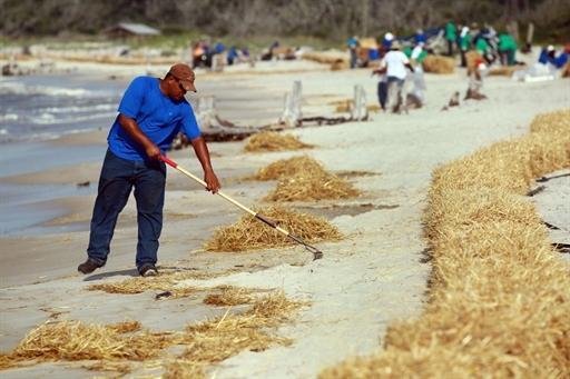 Limpeza continua na costa dos EUA