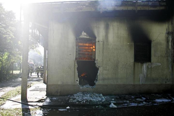 Fogo pode ter destru&iacute;do acervo digitalizado do Butantan