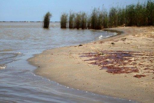 Mar&eacute; negra do Golfo do M&eacute;xico segue na dire&ccedil;&atilde;o do litoral da Fl&oacute;rida