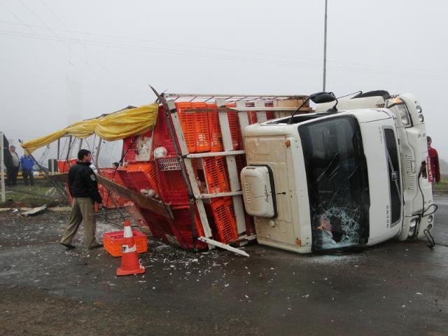 Caminh&atilde;o carregado com frangos tomba na BR-153 e 2 mil animais morrem 