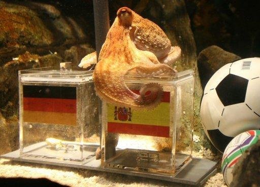 Polvo previu a vit&oacute;ria da F&uacute;ria sobre a Alemanha na Copa do Mundo