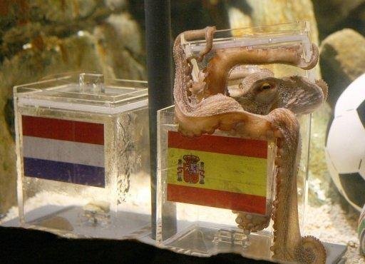 O polvo Paul, do aqu&aacute;rio Sea Life, na Alemanha, previu a vit&oacute;ria da Espanha na final da Copa do Mundo