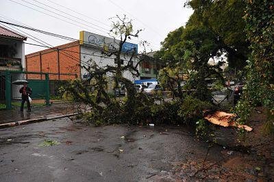 Chuva causou queda de &aacute;rvores em Porto Alegre