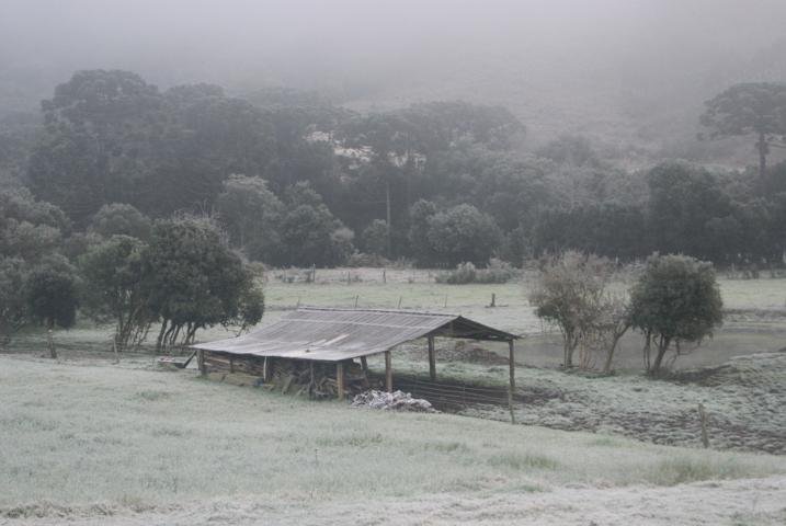 Em Erechim, a geada cobriu a cidade
