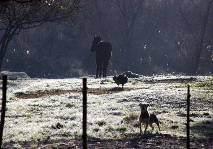 Em Bag&eacute;, os term&ocirc;metros acusaram -2,6&deg;C antes das 7h