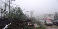 Defesa Civil inicia remoção de árvores de vias de Canela