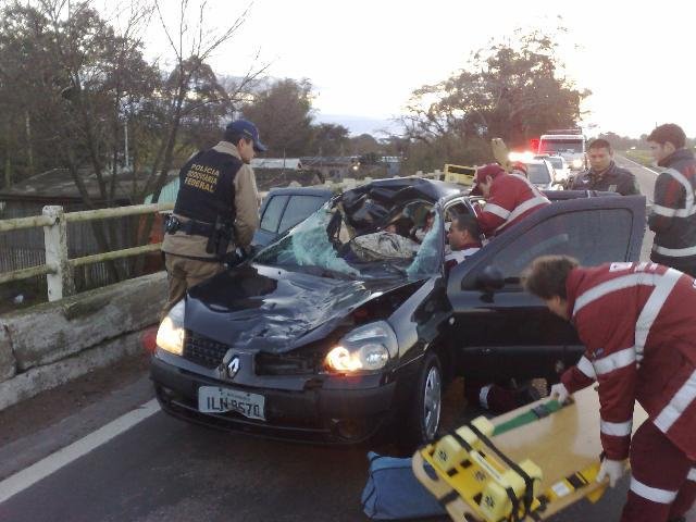 Cavalos soltos na BR-290 causam dois acidentes em Porto Alegre