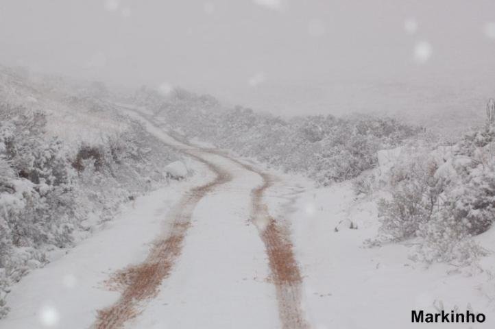 A neve que fez hist&oacute;ria no Sul do Brasil ontem e hoje, rendeu belas e inusitadas imagens