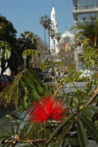 M&aacute;ximas podem passar dos 20&ordm;C no Estado hoje
