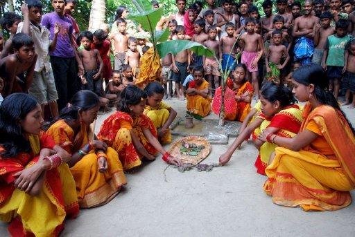 Casamento de r&atilde;s tenta provocar chuva em Bangladesh
