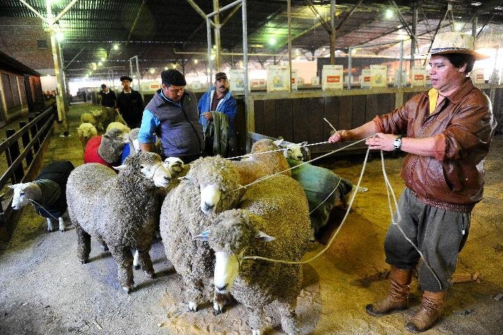 Produtores aprovam proposta de mudan&ccedil;a na administra&ccedil;&atilde;o do Parque Assis Brasil