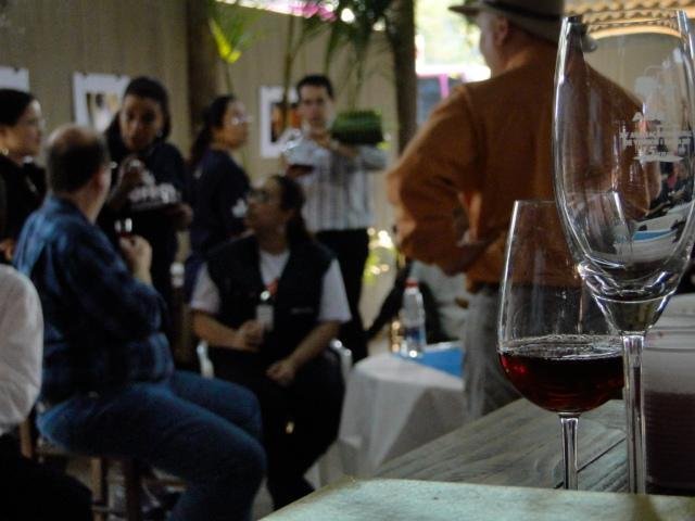 Mini-curso de degusta&ccedil;&atilde;o atrai simpatizantes do vinho