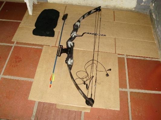 Adolescente &eacute; pego utilizando arco e flecha para lan&ccedil;ar celulares a presos