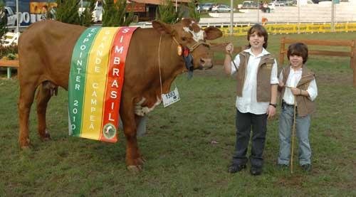Irm&atilde;os de 5 e 10 anos saem premiados da Expointer