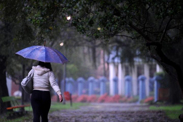 O tempo deve se firmar em todo Estado amanh&atilde;, quando esfria muito
