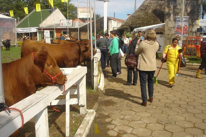 &Uacute;ltimo final de semana para aproveitar a Expointer
