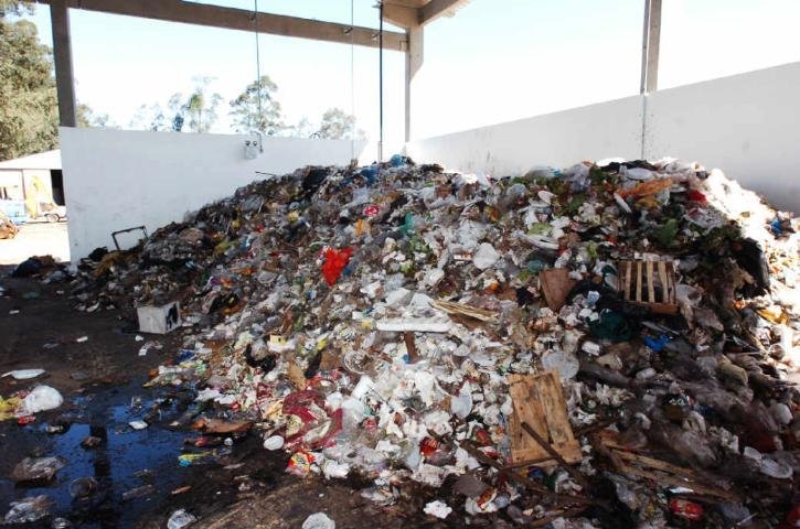 Hora de limpeza no Parque Assis Brasil