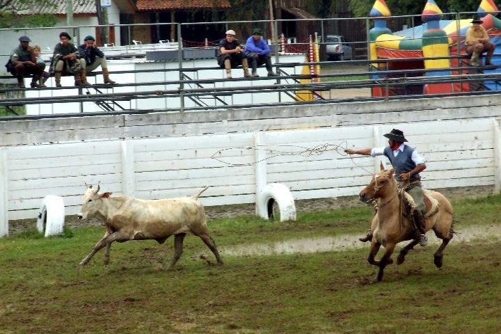 Come&ccedil;am amanh&atilde; provas campeiras no Acampamento Farroupilha